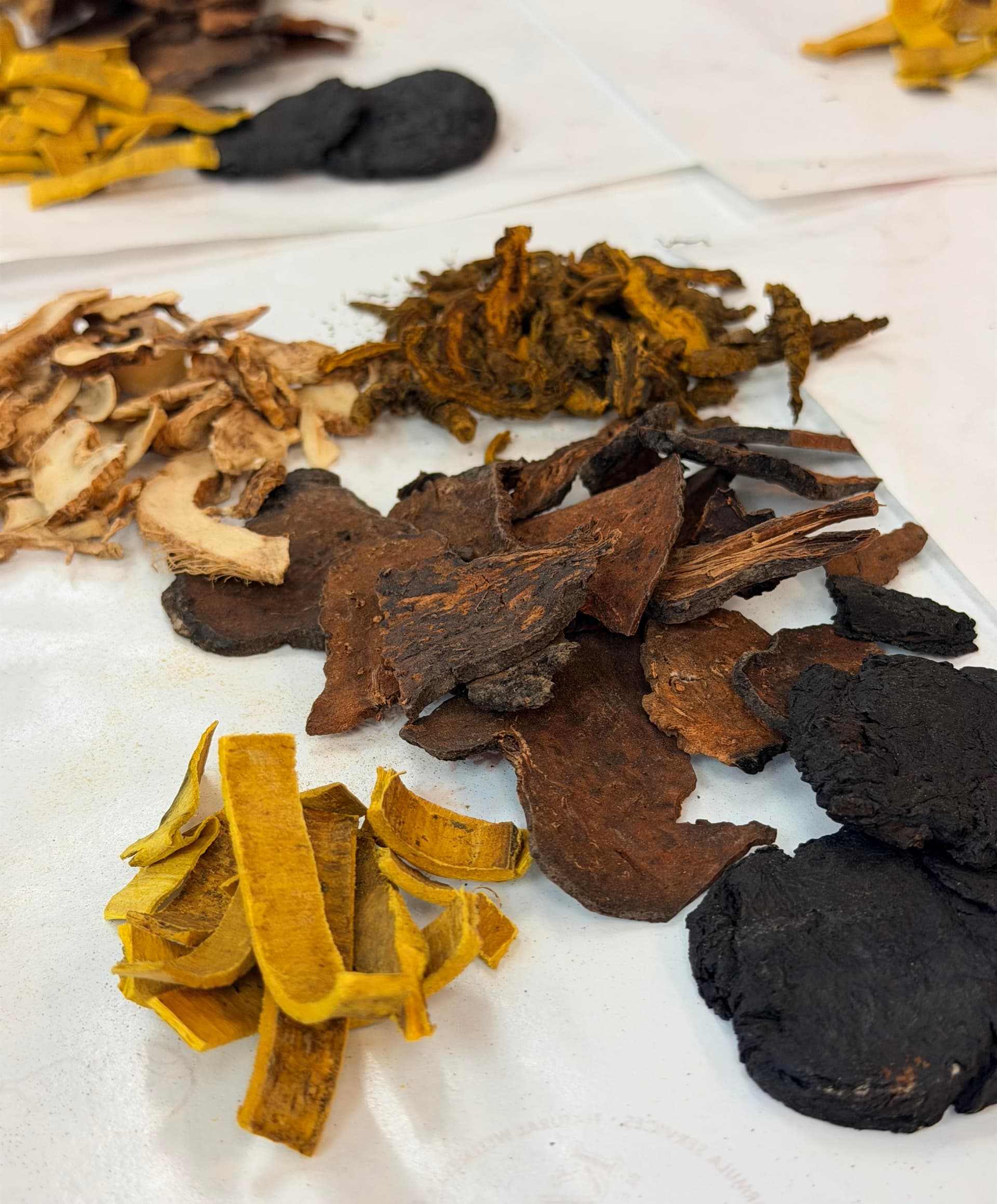 Herbal Medicine